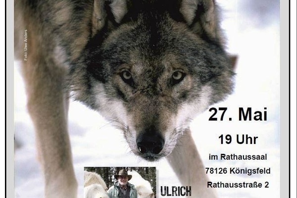Plakat Vortrag Wlfe von Ulrich Wotschikowsky am 27.05.2017