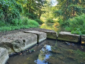 Wasserrckhalt mit reguliertem Abfluss  Naturpark Sdschwarzwald e. V.