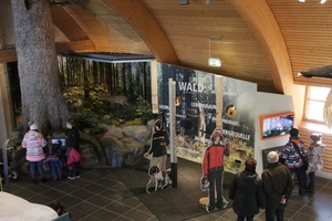 Blick in die neue "Forst-Ecke" im Haus der Natur © NAZ Südschwarzwald Blick in die neue "Forst-Ecke" im Haus der Natur © NAZ Südschwarzwald