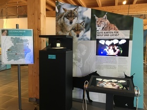 Das neue Ausstellungsmodul zum Thema Wolf und Luchs © Haus der Natur 