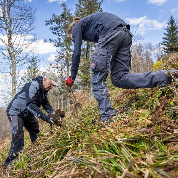 Zwei Personen arbeiten bei einem Landschaftspflegeeinsatz