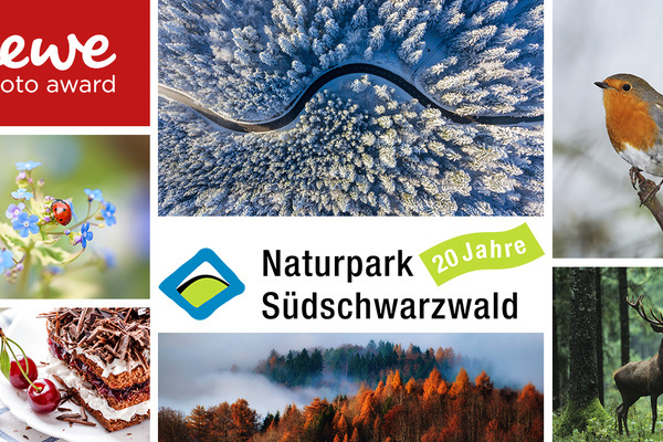 Collage zum Sonderfotowettbewerb „Naturpark Südschwarzwald“ von CEWE (© CEWE)