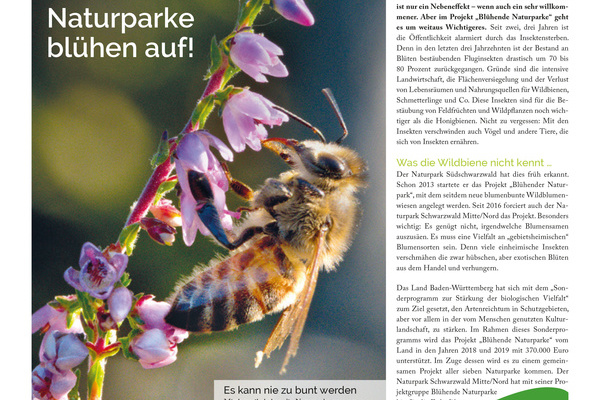 Cover NaturparkNews_Zweite Ausgabe