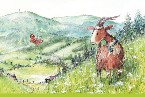 Cover des Naturpark-Kinderbuchs "Meck Wunderfitz wundert sich" © Naturpark Südschwarzwald e. V.