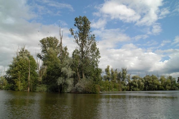 Naturschutzgebiet Pleidelsheim - Copyright: Hutter