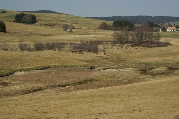 Moorkomplex mit Hochmoorresten und schwach basenreichen Niedermooren (© P. von Sengbusch)