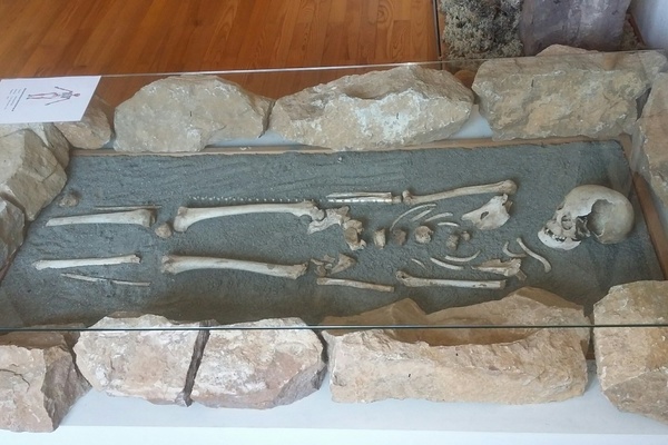 Ein Skelett aus dem 7. Jahrhundert im Heimatmuseum © Stadt Löffingen