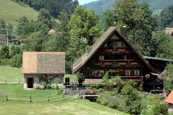 Die Simonswälder Mühle an der Wilden Gutach © Horst Dauenhauer, Simonswald