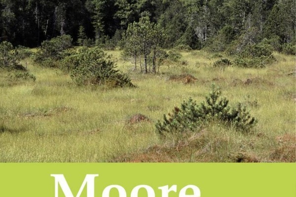 Cover Moore-Broschüre