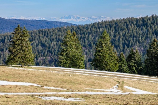 Alpenpanorama (Foto: Sebastian Schröder-Esch)