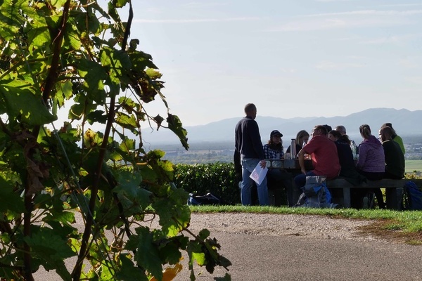 Die Teilnehmerinnen und Teilnehmer des Gästeführer-Kurses 2019/20 bei einer Lehreinheit zum Thema Wein im Markgräflerland. © Lisa Voelter