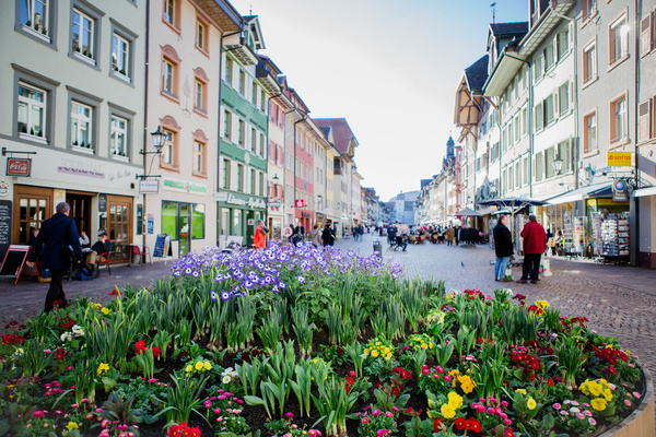 Frühling in der Innenstadt © Stadt Waldshut